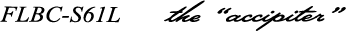 Smith Fieldream Black Custom logo 2